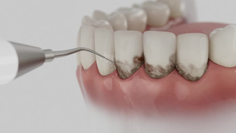 Reliable Dental contractor in Roy, UT by Dentist Open Now